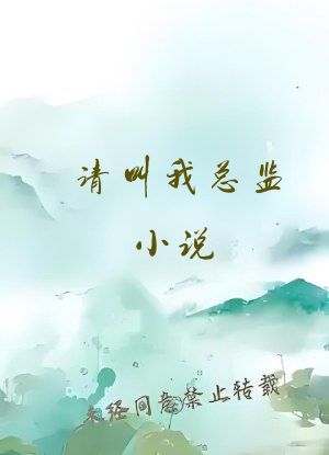 请叫我总监小说