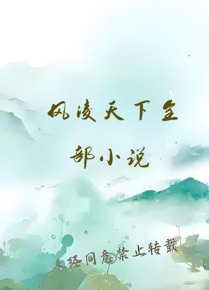 风凌天下全部小说